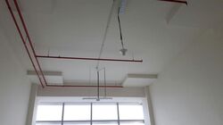 Sbf Center (D1), Office #477692771